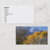 Aspenbäume mit dem Teton-Gebirge Visitenkarte (Vorne/Hinten)