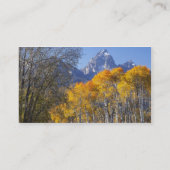 Aspenbäume mit dem Teton-Gebirge Visitenkarte (Rückseite)