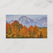 Aspenbäume mit dem Teton-Gebirge Visitenkarte (Rückseite)