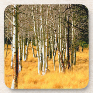 Aspenbäume Untersetzer