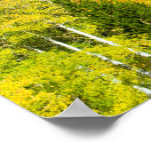 Aspens Aflammen Poster (Ecke)