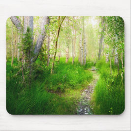 Aspens and Lush Grasses at Convict Lake Mousepad