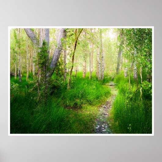 Aspens and Lush Grasses at Convict Lake Poster (Vorne)
