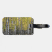 Aspens gelbes Glühen Gepäckanhänger (Rückseite horizontal)