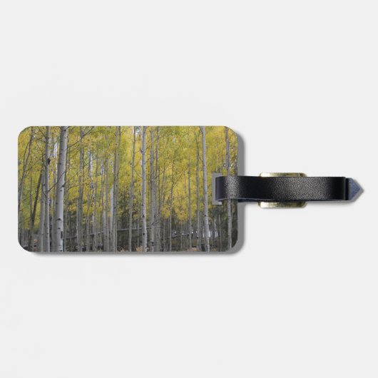 Aspens gelbes Glühen Gepäckanhänger (Rückseite horizontal)