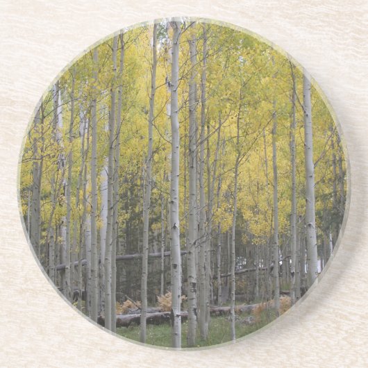 Aspens gelbes Glühen Getränkeuntersetzer (Vorne)