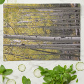 Aspens gelbes Glühen Küchentuch (Gefaltet)