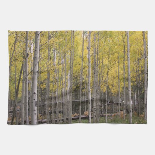 Aspens gelbes Glühen Küchentuch (Horizontal)