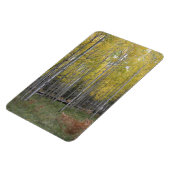Aspens gelbes Glühen Magnet (Linke Seite)