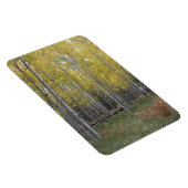 Aspens gelbes Glühen Magnet (Rechte Seite)