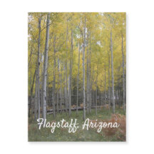 Aspens gelbes Glühen