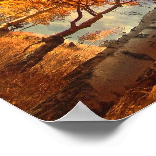 Aspens Glory Poster (Ecke)