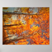 Aspens Glory Poster (Vorne)