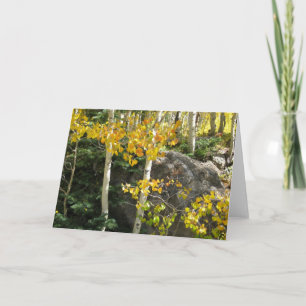 Aspens Grußkarte Karte