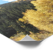 Aspens in Herbst, auf der Shultz Pass Road in der Poster (Ecke)