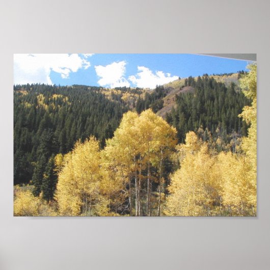 Aspens in Herbst, auf der Shultz Pass Road in der Poster (Vorne)