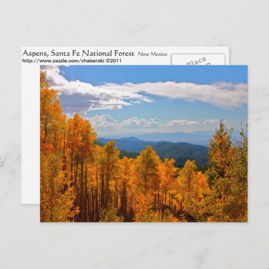 Aspens in New Mexico Postkarte (Vorne/Hinten)