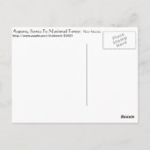 Aspens in New Mexico Postkarte (Rückseite)