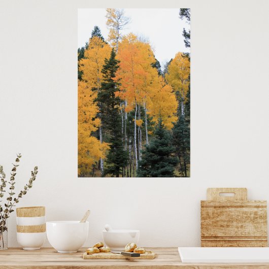 Aspens in Taos Pines Poster (Küche)