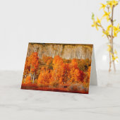 Aspens Kolob Zion NP Utah Blank Grußkarte Karte (Gelbe Blume)