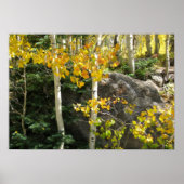 Aspens Poster (Vorne)