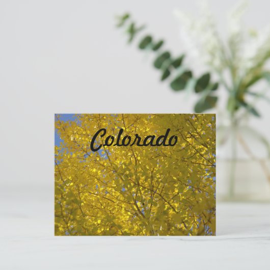 Aspens Postkarte (Stehend Vorderseite)