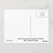 Aspens Postkarte (Rückseite)