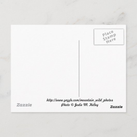 Aspens Postkarte (Rückseite)