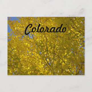 Aspens Postkarte