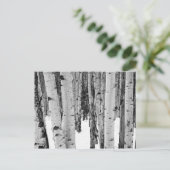 Aspens Postkarte (Stehend Vorderseite)