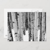Aspens Postkarte (Vorne/Hinten)