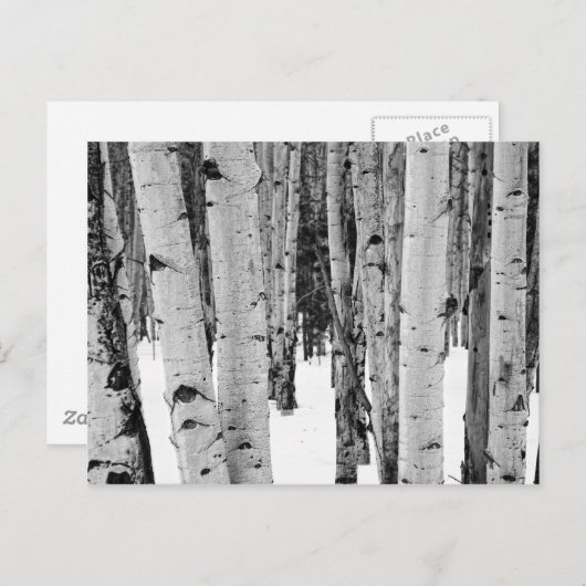 Aspens Postkarte (Vorne/Hinten)