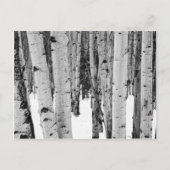 Aspens Postkarte (Vorderseite)