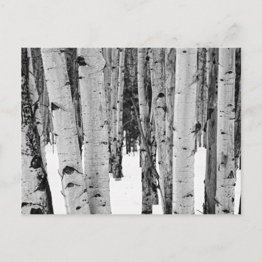 Aspens Postkarte (Vorderseite)