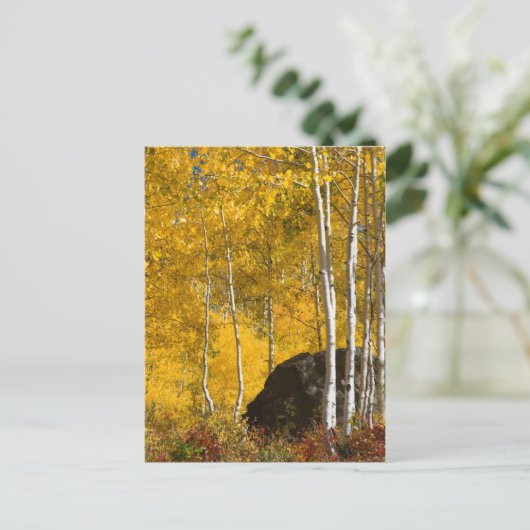 Aspens Postkarte (Stehend Vorderseite)