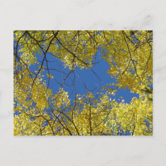 Aspens Postkarte