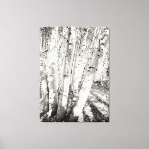 Aspens schwarz-weiß leinwanddruck