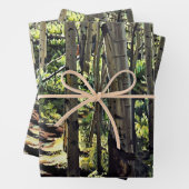 Aspens Tree Woodland Geschenkpapier Set (Beispiel)