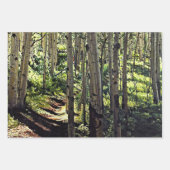 Aspens Tree Woodland Geschenkpapier Set (Vorderseite)