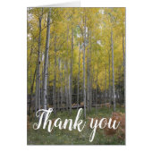 Aspen's Yellow Glow Danke (Vorne)