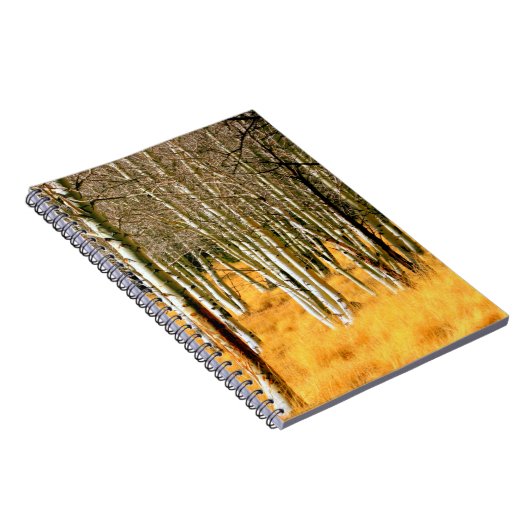 Aspenwaldheft Notizblock (Rechte Seite)