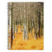 Aspenwaldheft Notizblock (Vorderseite)
