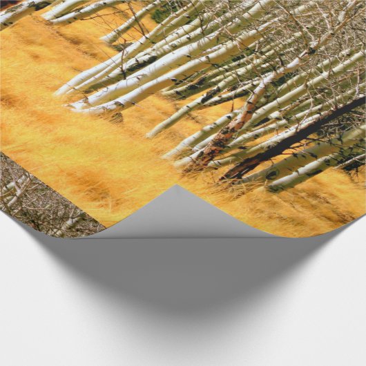 Aspenwaldpapier Geschenkpapier (Ecke)