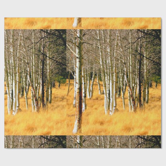 Aspenwaldpapier Geschenkpapier (Flach)