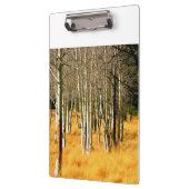 asphaltierte Baumwand Klemmbrett (Links)