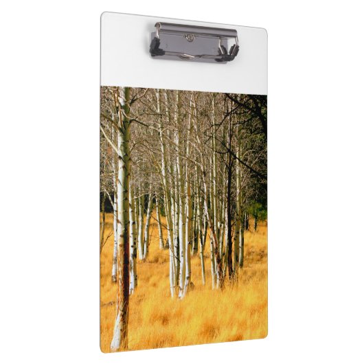 asphaltierte Baumwand Klemmbrett (Rechts)