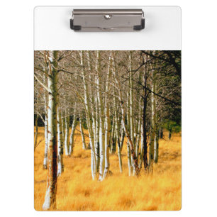 asphaltierte Baumwand Klemmbrett