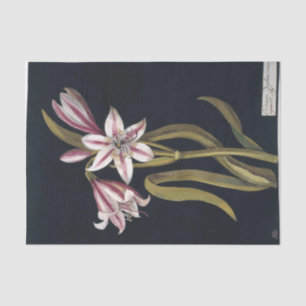 Asphodil Lily von Mary Delany Seidenpapier