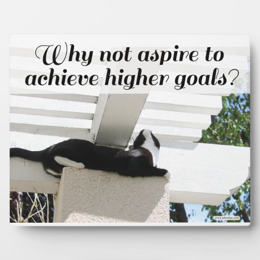 Aspire to Higher Goals Motivierend Cat Fotoplatte (Vorderseite)