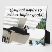 Aspire to Higher Goals Motivierend Cat Fotoplatte (Seite)
